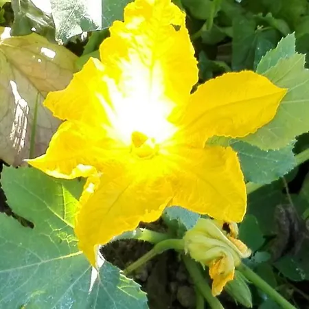 The Guardian Of Σπίτι διακοπών Αμάλφι