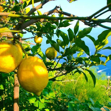 Holiday home The Guardian Of *