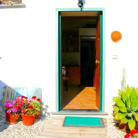 Paradiso House Tatil Evi