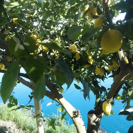 The Guardian Of Casa vacanze