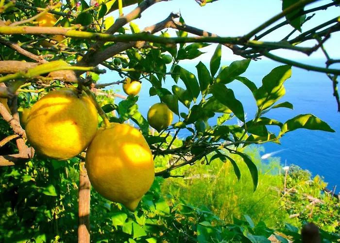 Feriehus The Guardian Of *