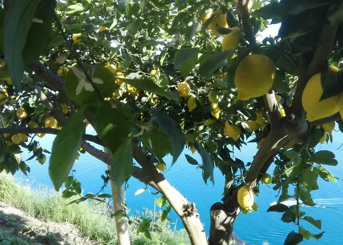 The Guardian Of Vakantiehuis