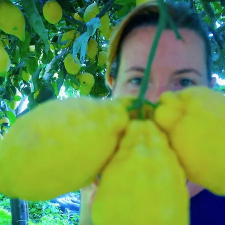 Сasa de vacaciones The Guardian Of