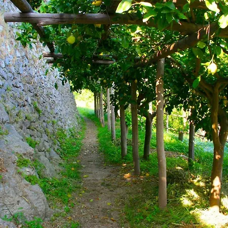 Сasa de vacaciones The Guardian Of