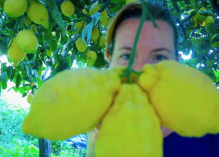 別荘 The Guardian Of