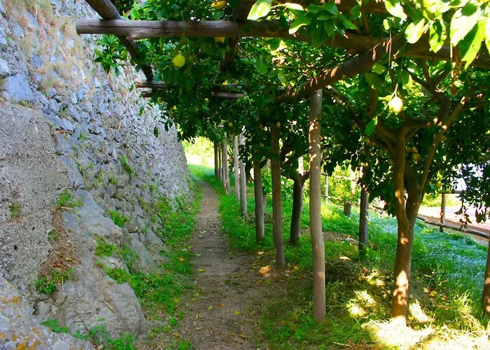 別荘 The Guardian Of